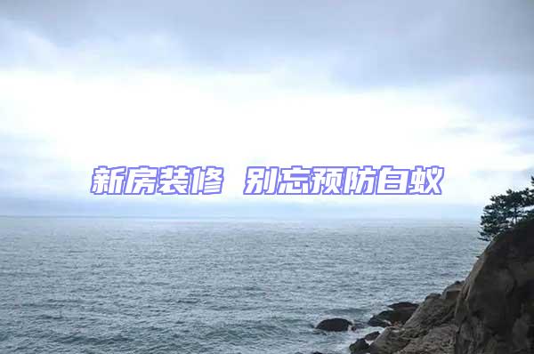 新房裝修 別忘預(yù)防白蟻