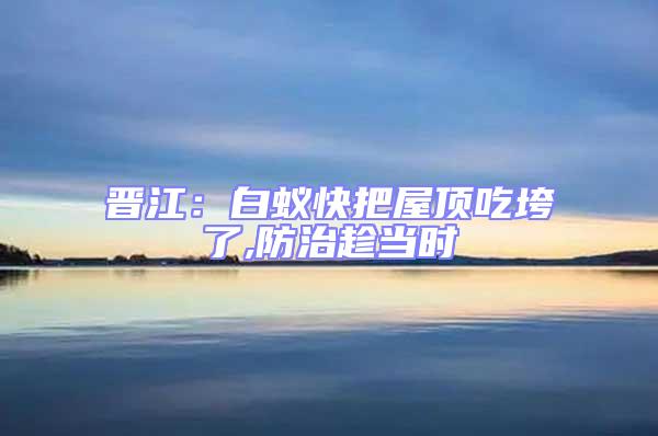 晉江：白蟻快把屋頂吃垮了,防治趁當(dāng)時(shí)