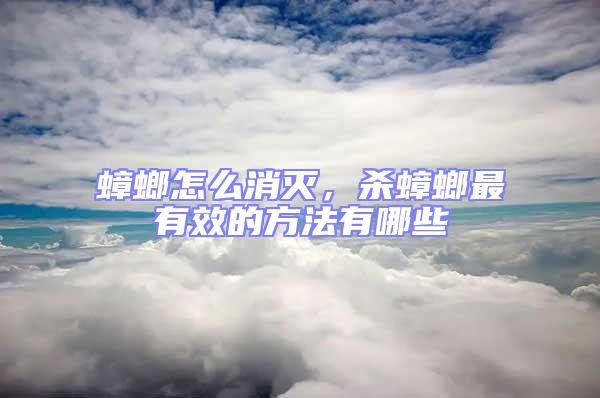 蟑螂怎么消滅，殺蟑螂最有效的方法有哪些