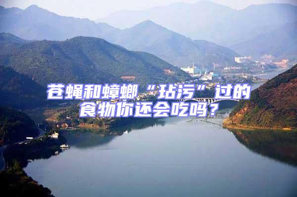 蒼蠅和蟑螂“玷污”過的食物你還會吃嗎？