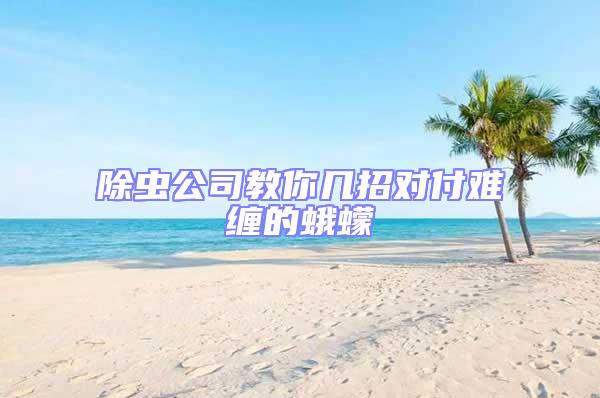 除蟲(chóng)公司教你幾招對(duì)付難纏的蛾蠓