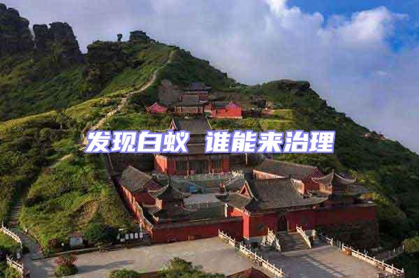 發(fā)現(xiàn)白蟻 誰(shuí)能來(lái)治理