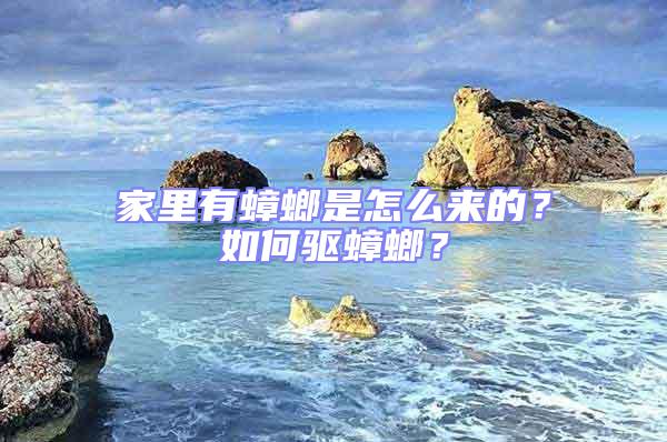 家里有蟑螂是怎么來的？如何驅蟑螂？