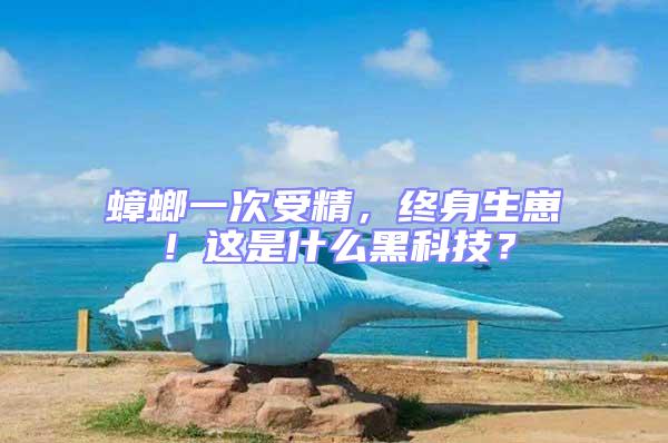 蟑螂一次受精，終身生崽！這是什么黑科技？