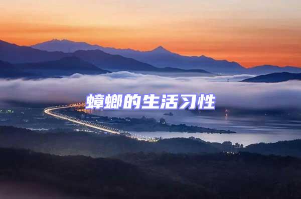 蟑螂的生活習(xí)性