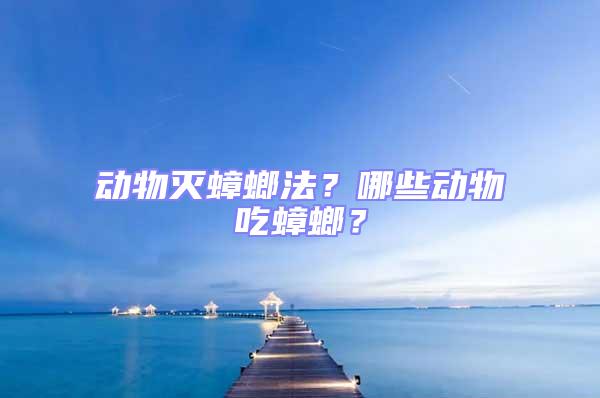 動物滅蟑螂法？哪些動物吃蟑螂？