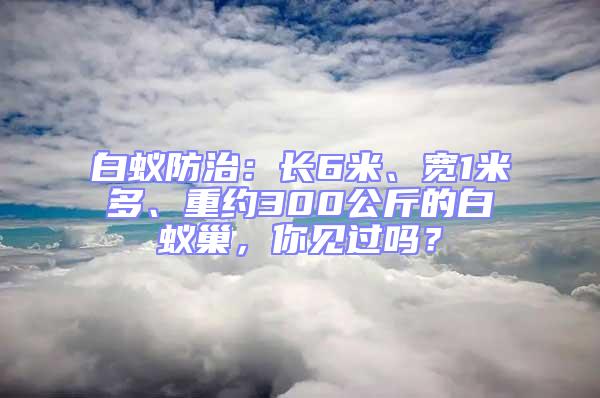 白蟻防治：長6米、寬1米多、重約300公斤的白蟻巢，你見過嗎？