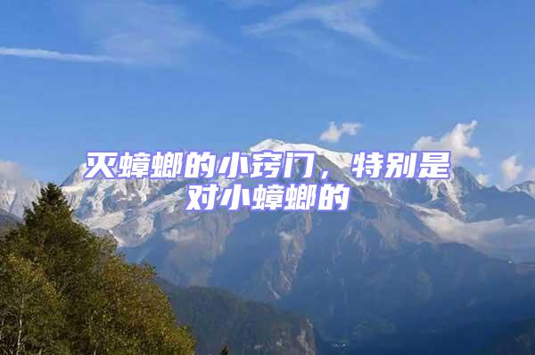 滅蟑螂的小竅門(mén)，特別是對(duì)小蟑螂的
