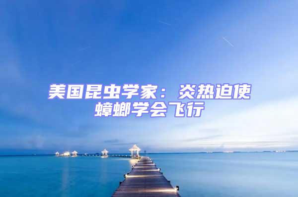 美國昆蟲學家：炎熱迫使蟑螂學會飛行