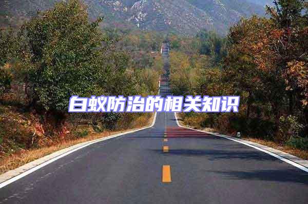 白蟻防治的相關(guān)知識