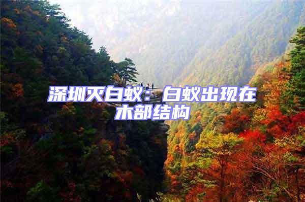 深圳滅白蟻：白蟻出現在木部結構