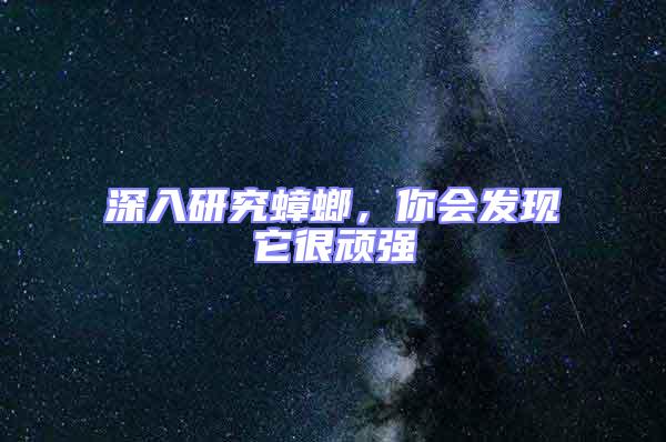 深入研究蟑螂，你會發(fā)現(xiàn)它很頑強