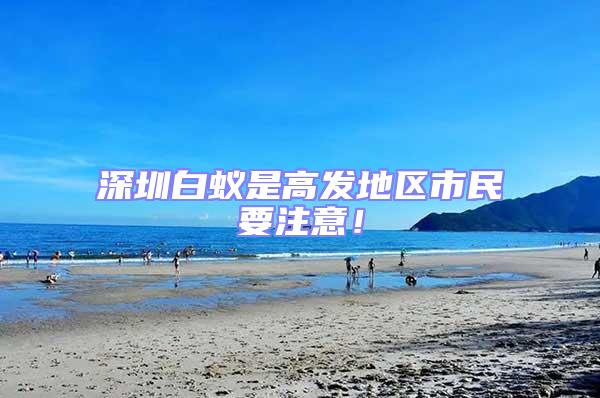 深圳白蟻是高發地區市民要注意！