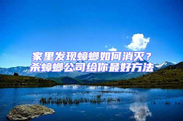 家里發現蟑螂如何消滅？殺蟑螂公司給你最好方法