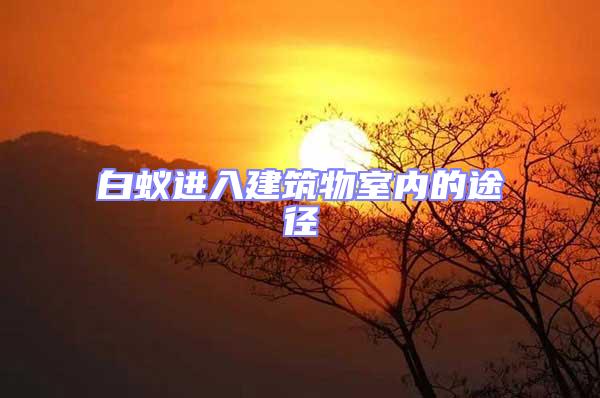 白蟻進入建筑物室內(nèi)的途徑