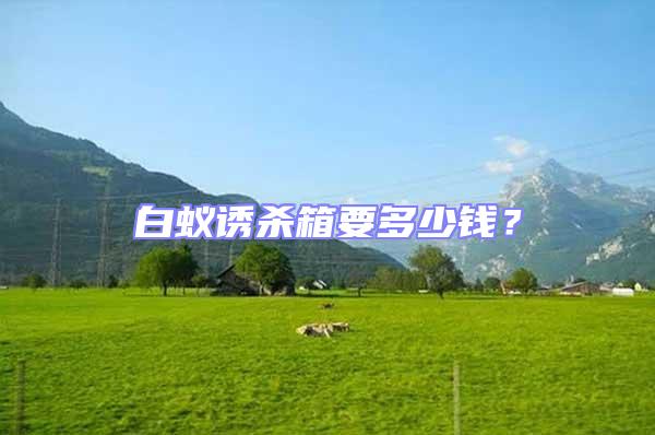 白蟻誘殺箱要多少錢？