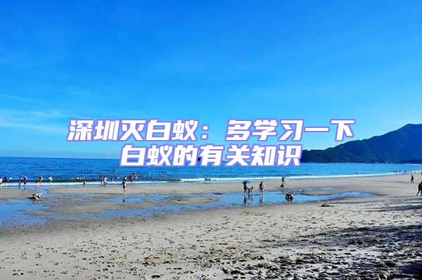 深圳滅白蟻：多學(xué)習(xí)一下白蟻的有關(guān)知識(shí)