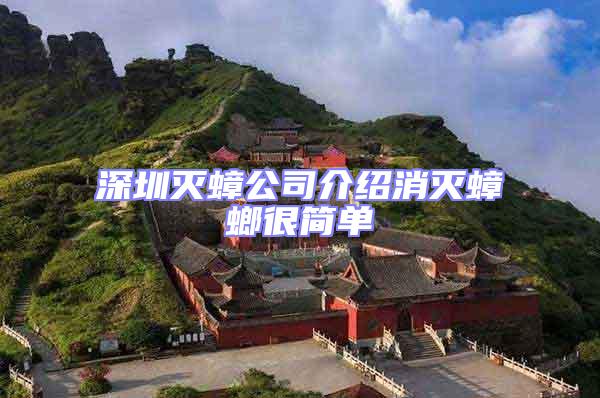 深圳滅蟑公司介紹消滅蟑螂很簡(jiǎn)單