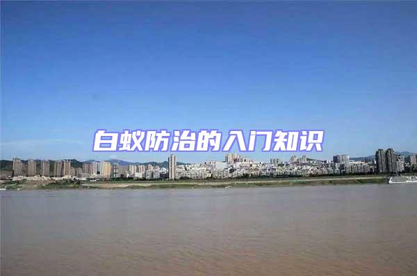 白蟻防治的入門(mén)知識(shí)