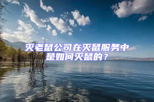 滅老鼠公司在滅鼠服務中是如何滅鼠的？
