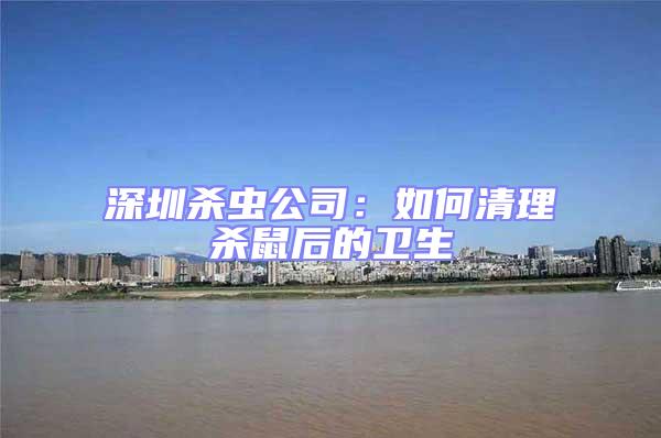 深圳殺蟲公司：如何清理殺鼠后的衛生