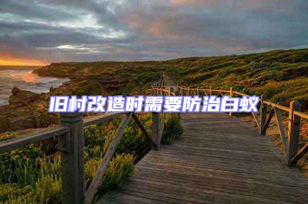 舊村改造時(shí)需要防治白蟻