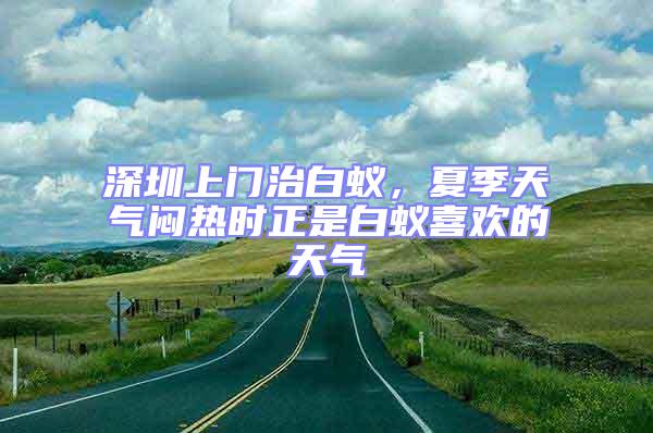 深圳上門治白蟻，夏季天氣悶熱時(shí)正是白蟻喜歡的天氣