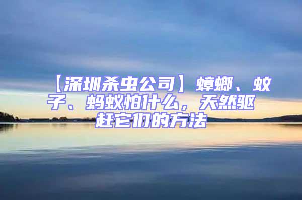 【深圳殺蟲(chóng)公司】蟑螂、蚊子、螞蟻怕什么，天然驅(qū)趕它們的方法