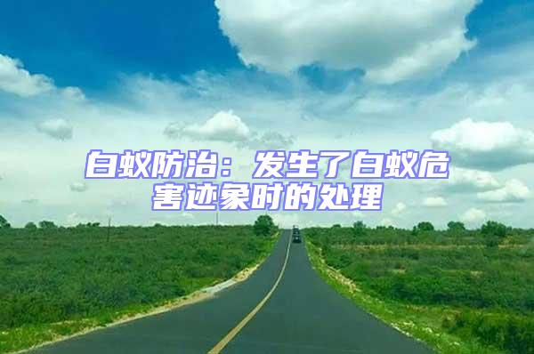 白蟻防治：發生了白蟻危害跡象時的處理