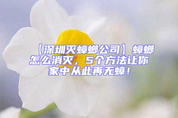 【深圳滅蟑螂公司】蟑螂怎么消滅，5個方法讓你家中從此再無蟑！