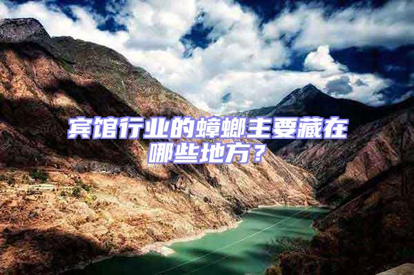 賓館行業的蟑螂主要藏在哪些地方？