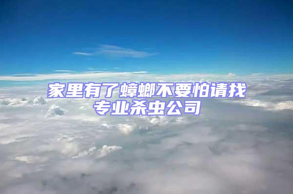 家里有了蟑螂不要怕請找專業殺蟲公司