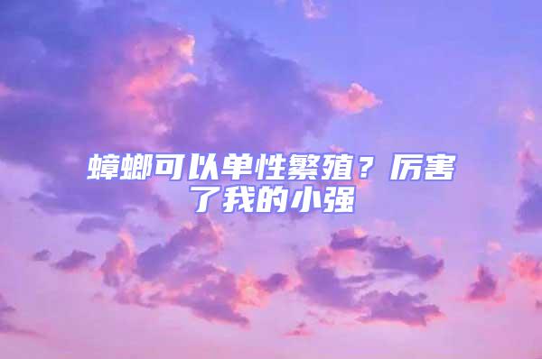 蟑螂可以單性繁殖？厲害了我的小強(qiáng)