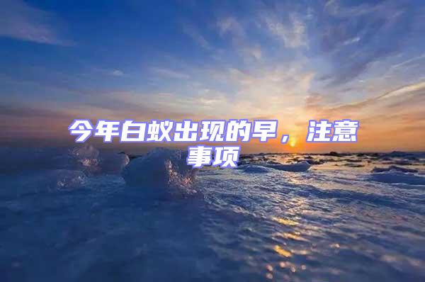 今年白蟻出現(xiàn)的早，注意事項(xiàng)