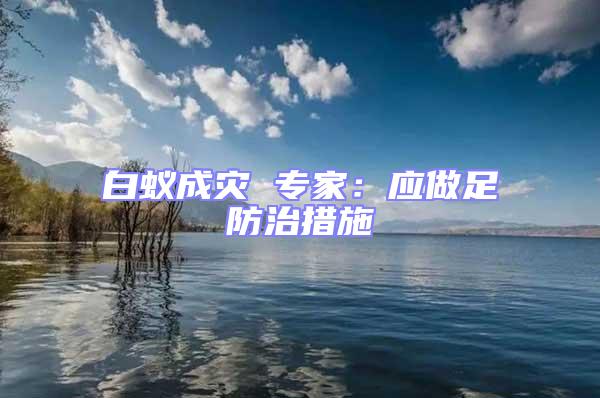 白蟻成災(zāi) 專家：應(yīng)做足防治措施