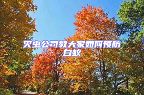 滅蟲(chóng)公司教大家如何預(yù)防白蟻