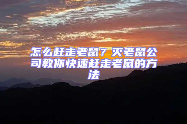 怎么趕走老鼠？滅老鼠公司教你快速趕走老鼠的方法