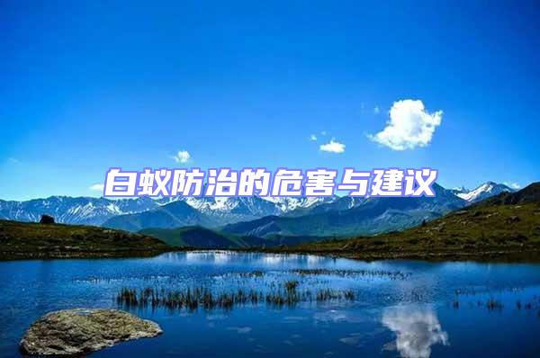 白蟻防治的危害與建議