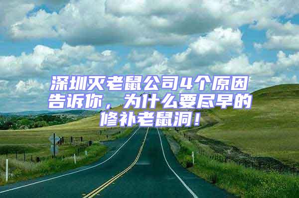 深圳滅老鼠公司4個原因告訴你，為什么要盡早的修補老鼠洞！