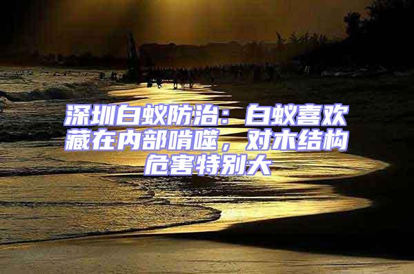 深圳白蟻防治：白蟻喜歡藏在內部啃噬，對木結構危害特別大