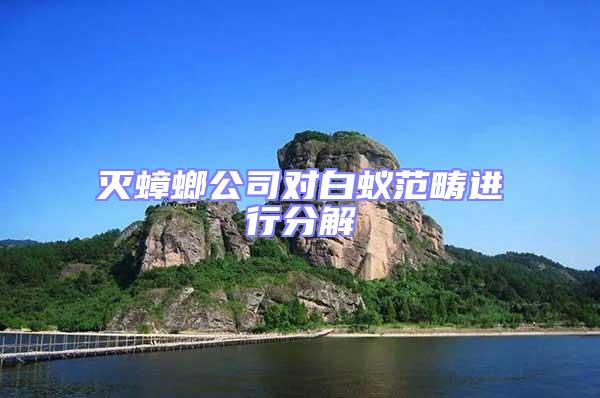 滅蟑螂公司對(duì)白蟻范疇進(jìn)行分解