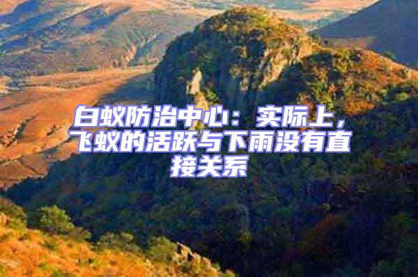 白蟻防治中心：實際上，飛蟻的活躍與下雨沒有直接關系