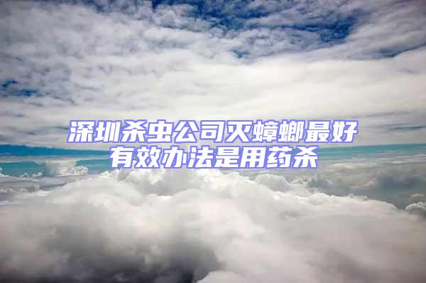 深圳殺蟲公司滅蟑螂最好有效辦法是用藥殺