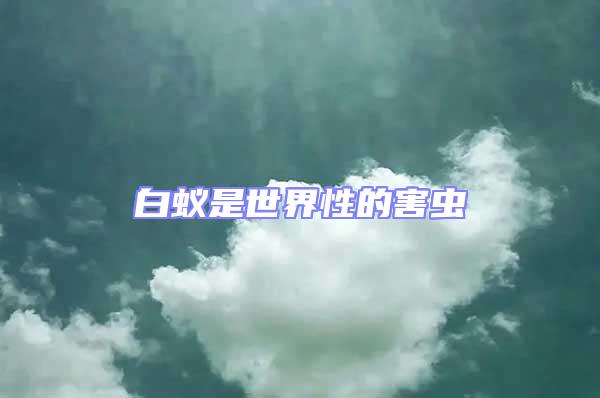 白蟻是世界性的害蟲(chóng)