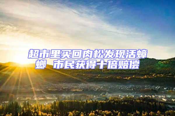 超市里買(mǎi)回肉松發(fā)現(xiàn)活蟑螂 市民獲得十倍賠償