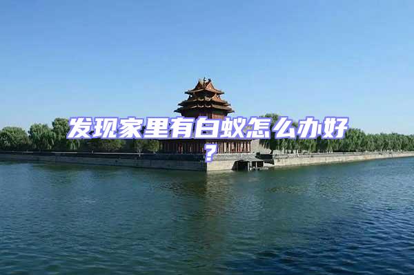 發現家里有白蟻怎么辦好？