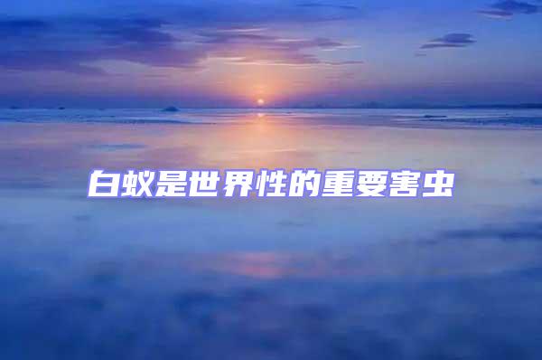 白蟻是世界性的重要害蟲(chóng)