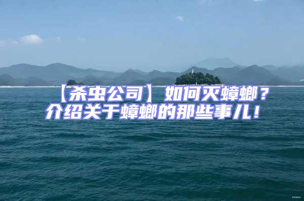 【殺蟲公司】如何滅蟑螂？介紹關(guān)于蟑螂的那些事兒！