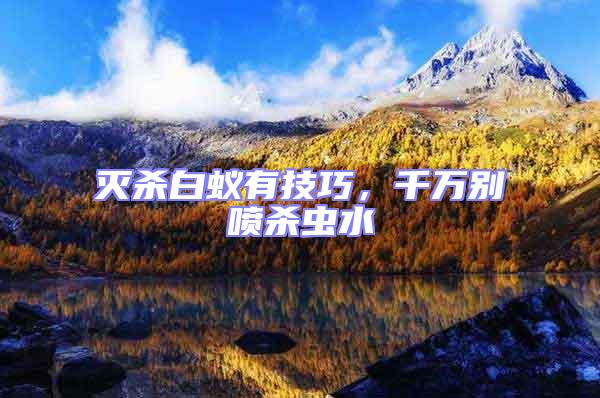 滅殺白蟻有技巧，千萬別噴殺蟲水