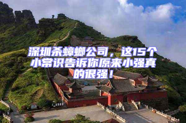 深圳殺蟑螂公司，這15個小常識告訴你原來小強真的很強！